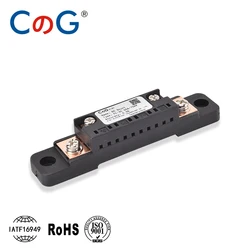 CG FL-2C Shunt 10A 20A 30A 50A 100A 150A 200A 300A 400A 500A 600A 75mV DC High Accuracy with Base Ammeter Current Shunt Resistor