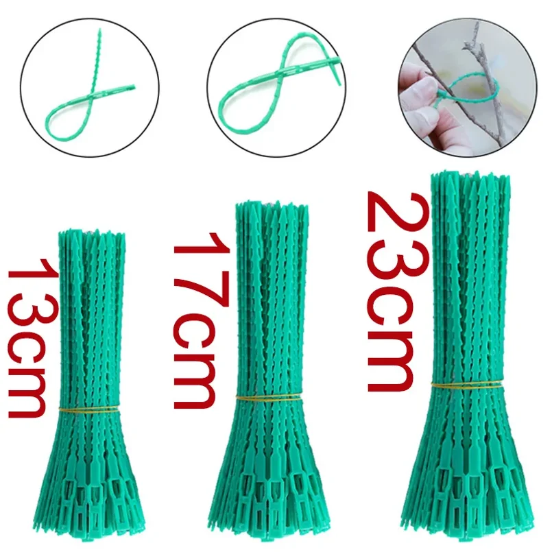 Plant cable ties are reusable shrub fasteners, garden tree climbing supports, grapevines, and tomato stem clips