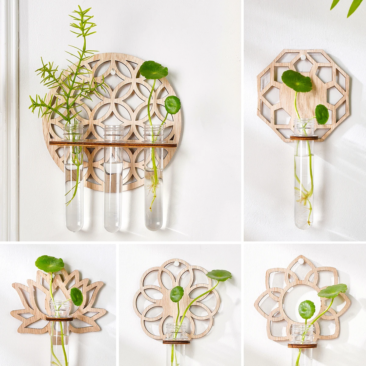 1PC Indoor Plant Wall Mounted, Plastic Test Tube with Wooden Rack for Unique Gardening Plant Lovers