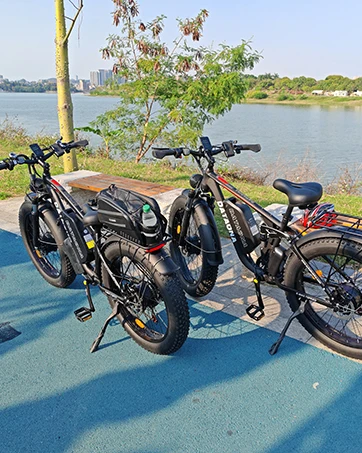 Ebikes for Adults