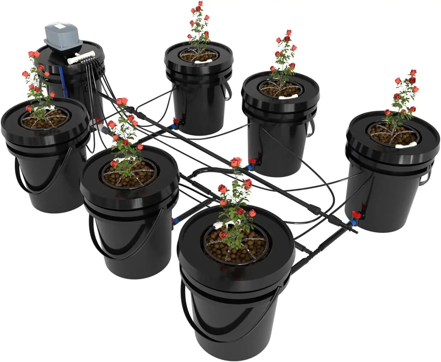 

RDWC Top Feed Drip Hydroponics Systems 6 Buckets + Reservoir, Recirculating Deep Water Culture Hydroponic Bucket System