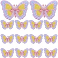 PE8027CT