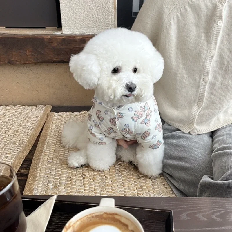 Winter New Cute Bear Print Pet Cotton Coat Tractable Thickened Warm Dog Coats Puppy Cat Clothes Bichon Teddy Small Dog Clothes