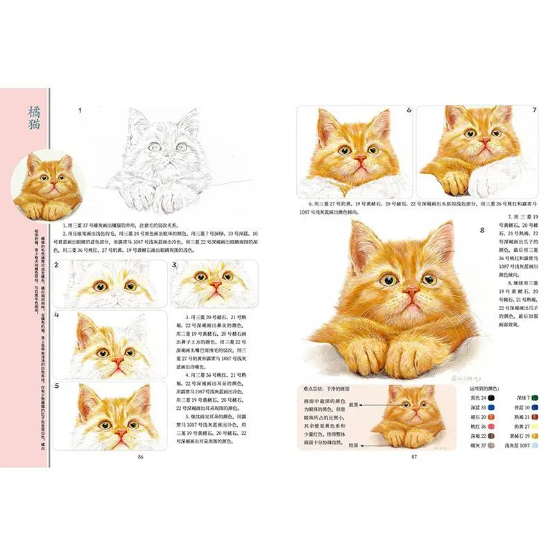 Imagem -02 - Colorido Chumbo Animais Quadrinhos Basic Copy Picture Book Iniciantes Textbook Textbook Art Iniciantes Introdução Chumbo Cor 100 Cases