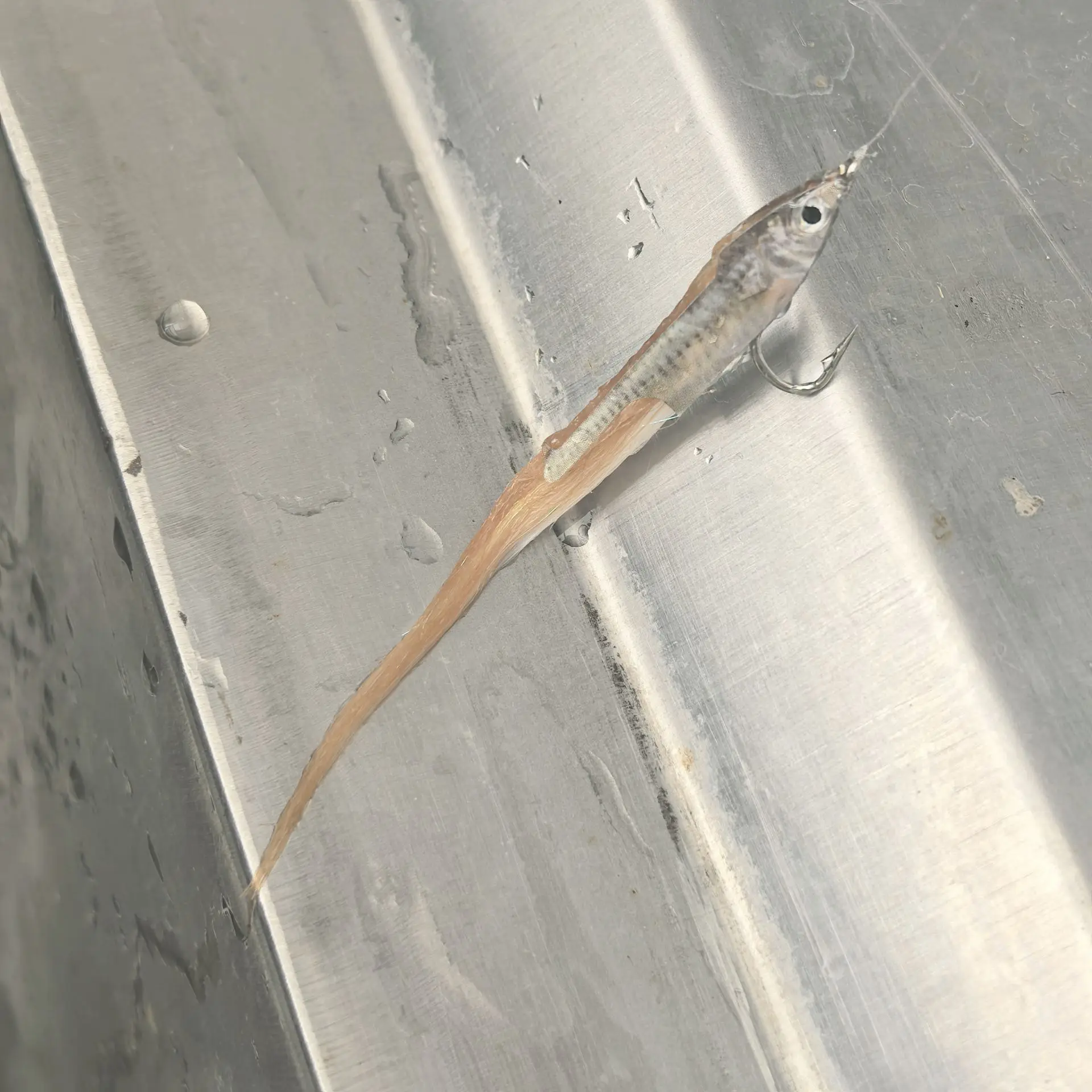 5/6 Stück Realistische Minnow-Fliegenfischerköder mit 3D-Augen, Fischköder für Forellen- und Barsch-Angeln in Süß- und Salzwasser – Detail 7
