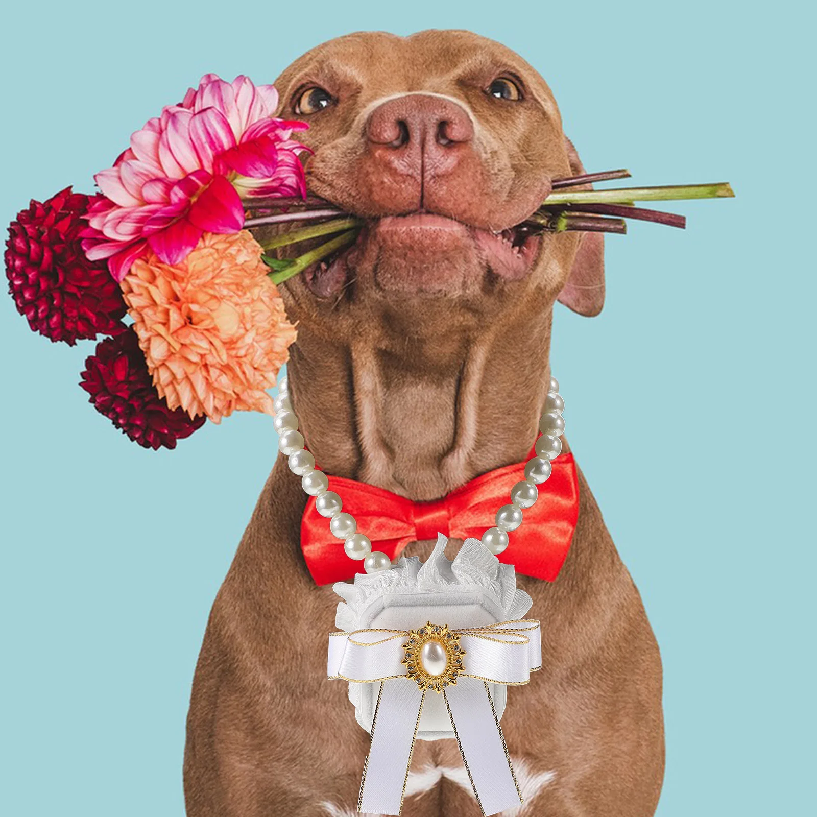 

Коробка для обручальных колец для домашних животных, органайзер для невесты, ошейник для собаки, контейнер для ювелирных изделий, держатель для хранения, подарок, аксессуары на день Святого Валентина