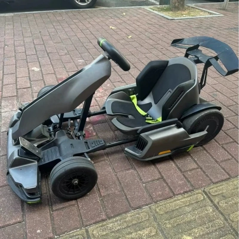 2025 Made in China Go Karts with 4 Gears 43Km/h Max Speed for Kids Adults New Go Kart Pro 2 Electric Racing Manumatic
