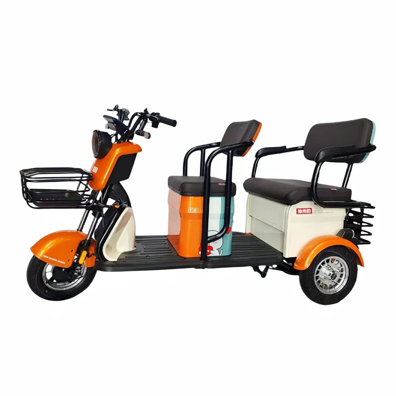 500W Tricycle Electric Bike Three Wheel Electric Motor Bike Two Seat Tricycle for Adults