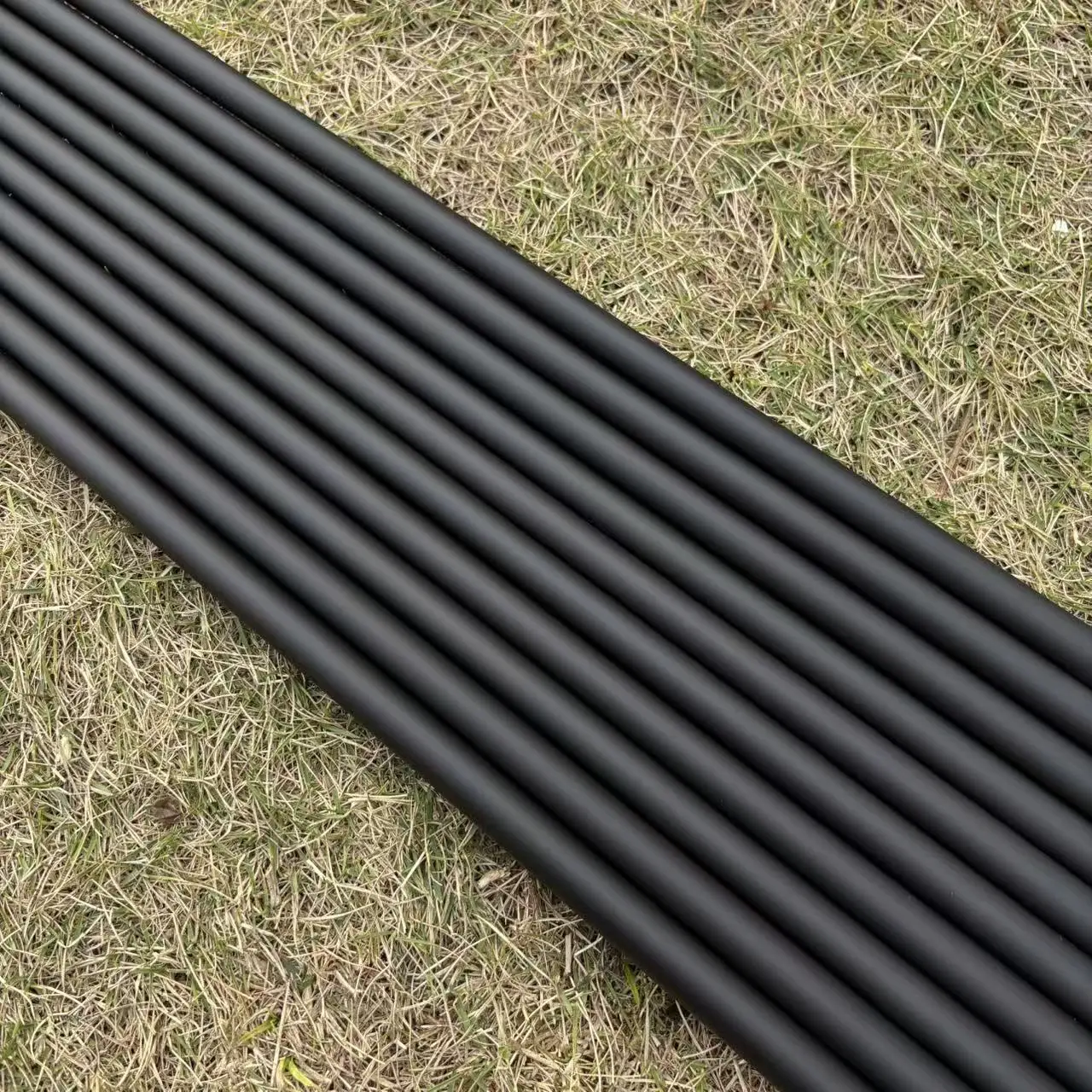 Vermilion Bird Grap…