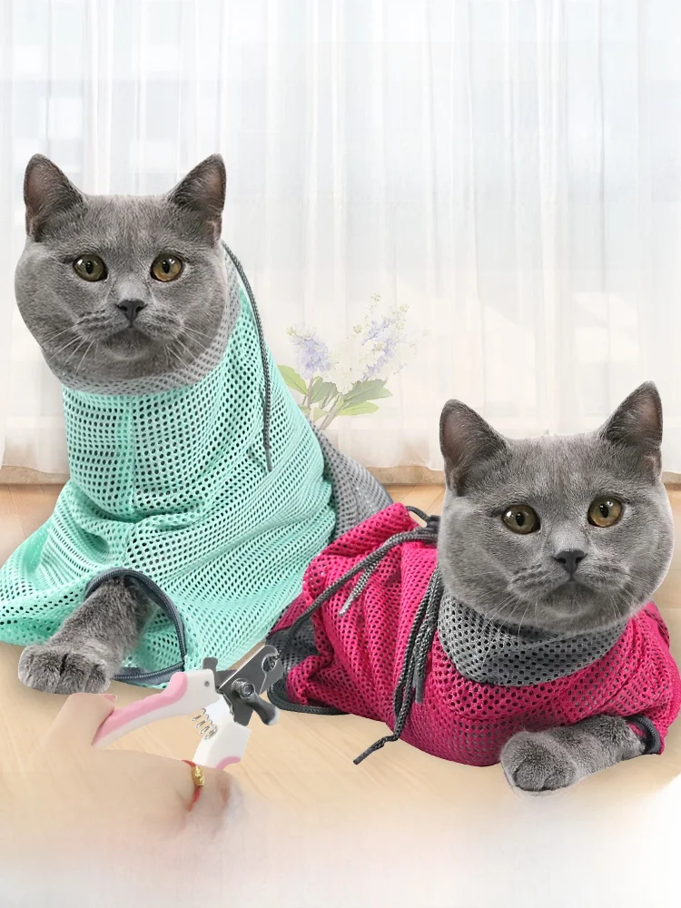 

Новый набор для ухода за животными: сумка-органайзер, фиксатор для стрижки когтей, инструмент для защиты от укусов, маленький набор для груминга.