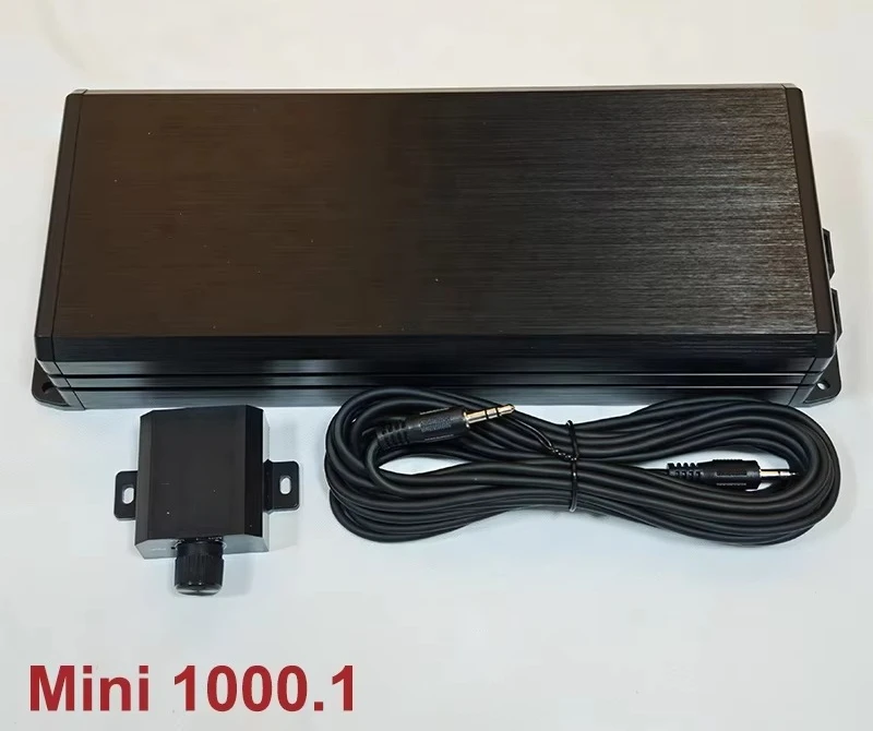 1000Wrms Mini Car Amplifier Class D  Amplifier for Subwoofer with Mini Size Monoblock Amplifier for Audio Speaker