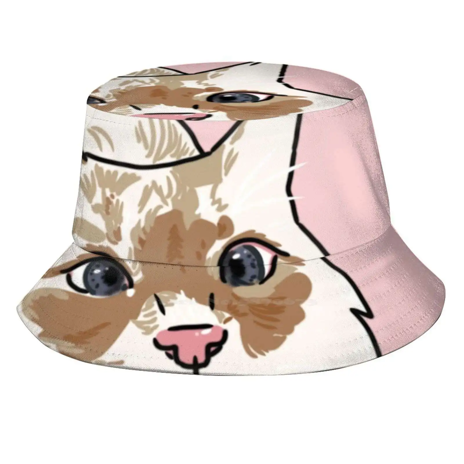 Lorcan The Cross - Eyed Kitty Korean Caps Funny Beach Bucket Hats Pets Animals Cute Furry Fluffy Adorable Cats Kitty Kittens