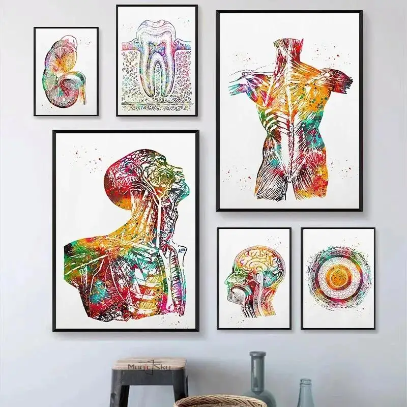 ألوان مائية تشريح الإنسان المشارك العمود الفقري العمود الفقري الحبل القلب الكوع قماش جدار الفن لديكور المنزل الحديث #1