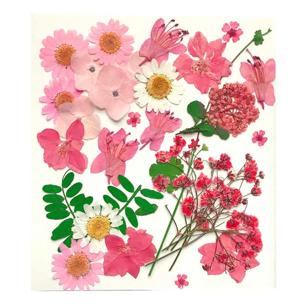

30Pcs DIY Real Mixed Pressed Dried Flowers Pink Natural Flower Specimens Home Decoration Wedding Party Craft Material