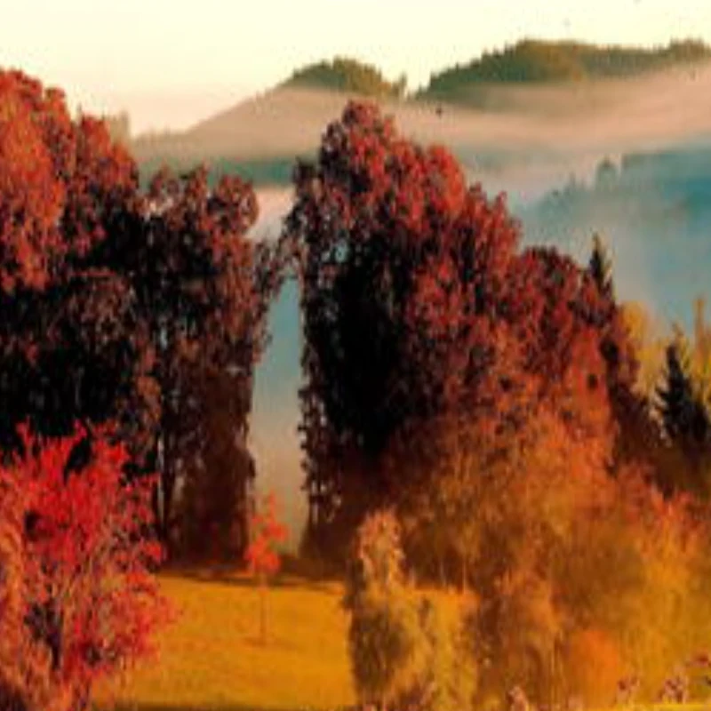 

JX Servo PDI-5521MG 4.8-6V 20KG High Precision Metal Gear Digital Standard Servo 180 Degree for RC Car Helicopter Boat Airplane