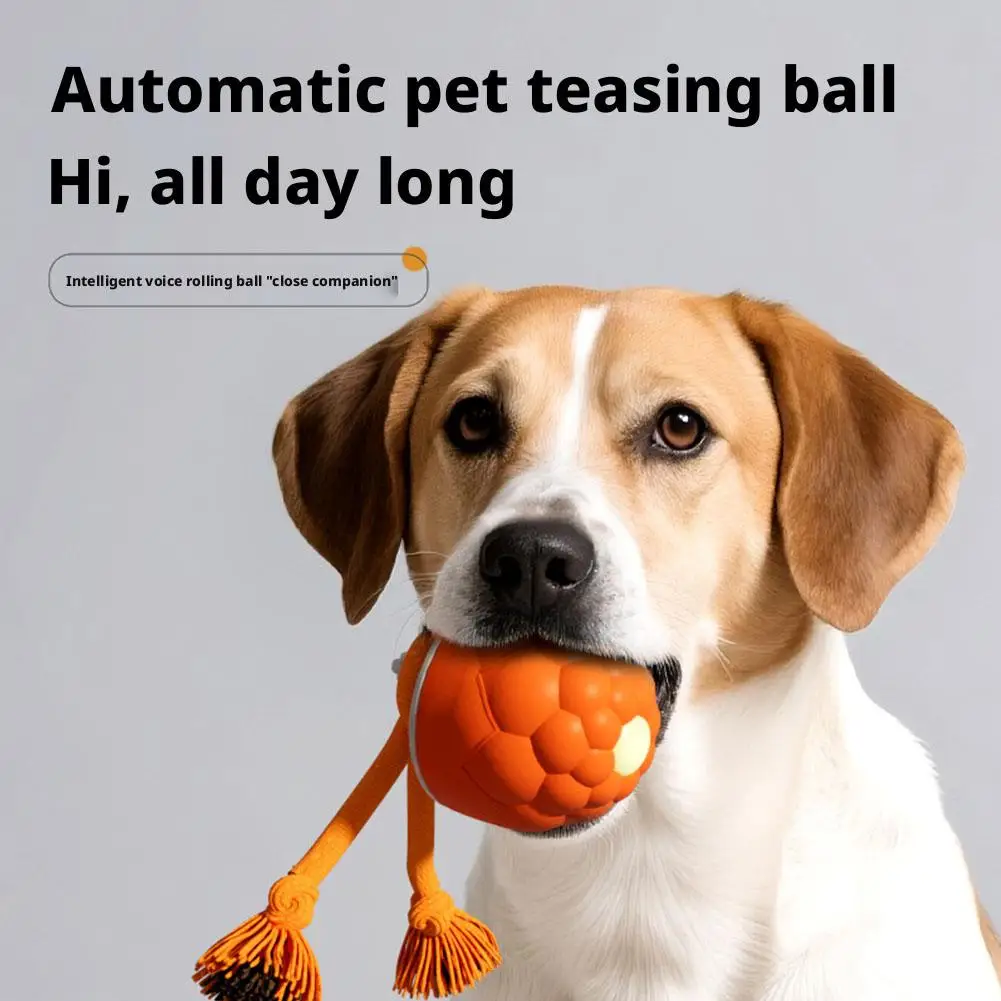 Thumbnail 3 - #11 Top 50 Puppy Rope Toys Worth Buying In 2026