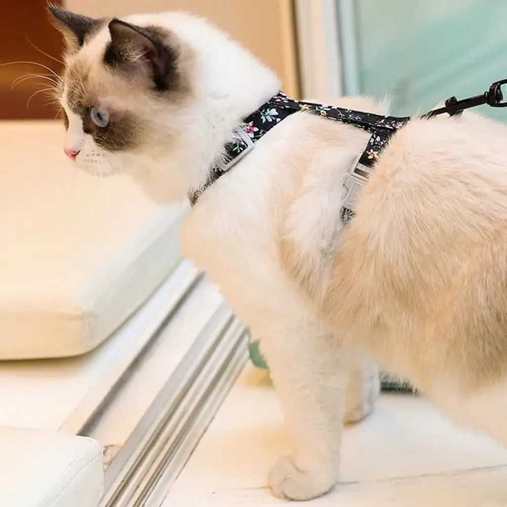 1 Set Excellent Firm Stitching Cat Leash Chest Harness Long Strap Pet Traction Rope Back Strap Buckle Pet Dog Cat Accessories