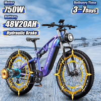 DUOTTS E26 Electric Bicycle 750W Motor 48V20AH Lithium Battery Hydraulic Brake Electric Bike Aldult 26*4.0 Fat Tire Snow E-bike