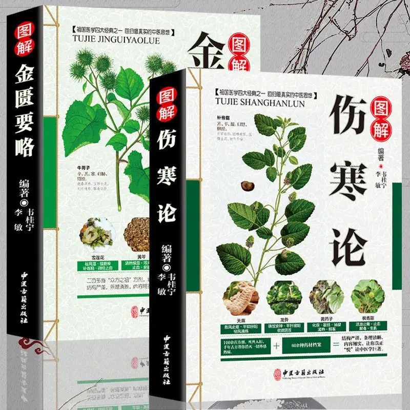 Typhoid Fever Zhang Zhongjing + Brief Introduction Of The Golden Chamber Two Tcm Clinical Series Libros