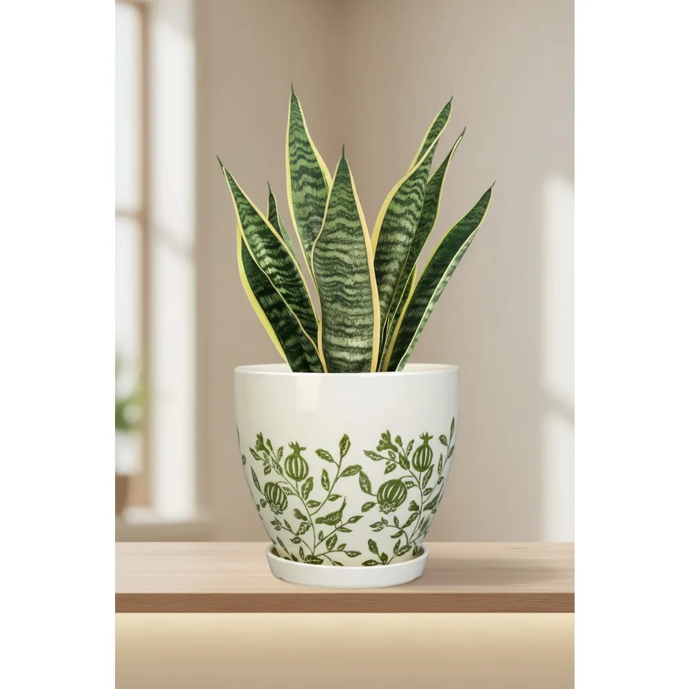 

8,2-дюймовый керамический горшок для растений с дренажным отверстием и блюдцем, белый цветочный горшок для комнатных и уличных растений, подарки для домашнего сада