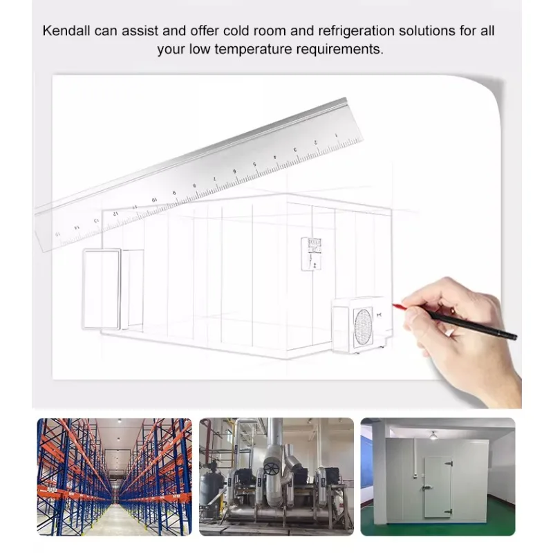Walk in Cold Room Industrial Refrigerator Chiller Cooler Freezer Container 20ft 40ft Energy Efficient Design Easy Installation