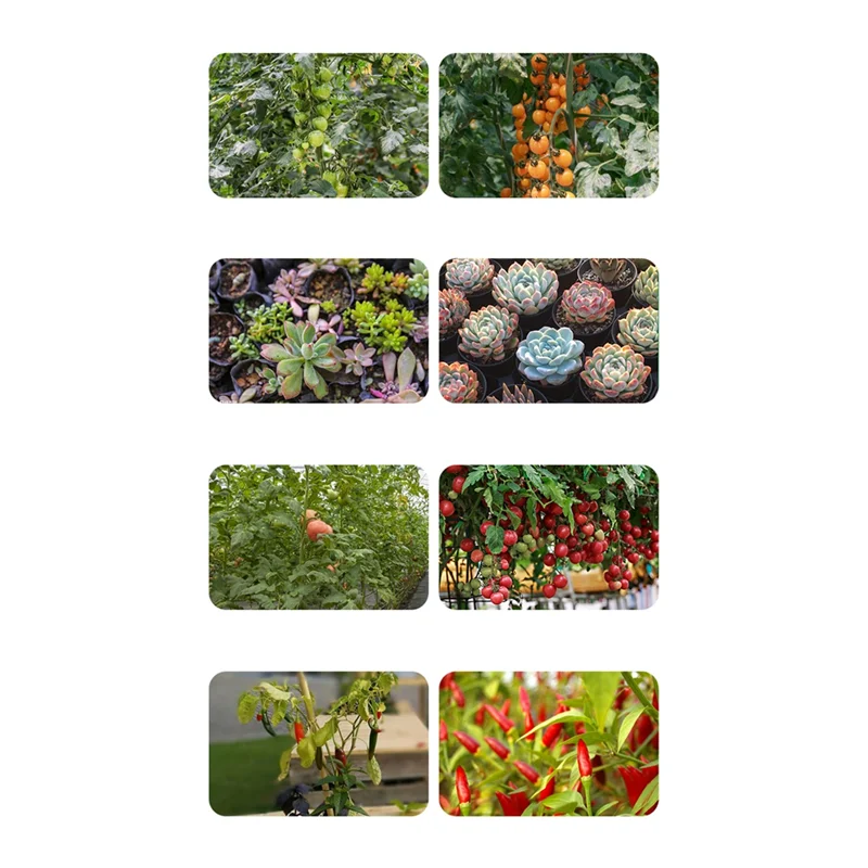 A67P-240LED élèvent des plantes lumières spectre complet serre lampe de culture pour plantes d'intérieur légumes hydroponique Phytolamp