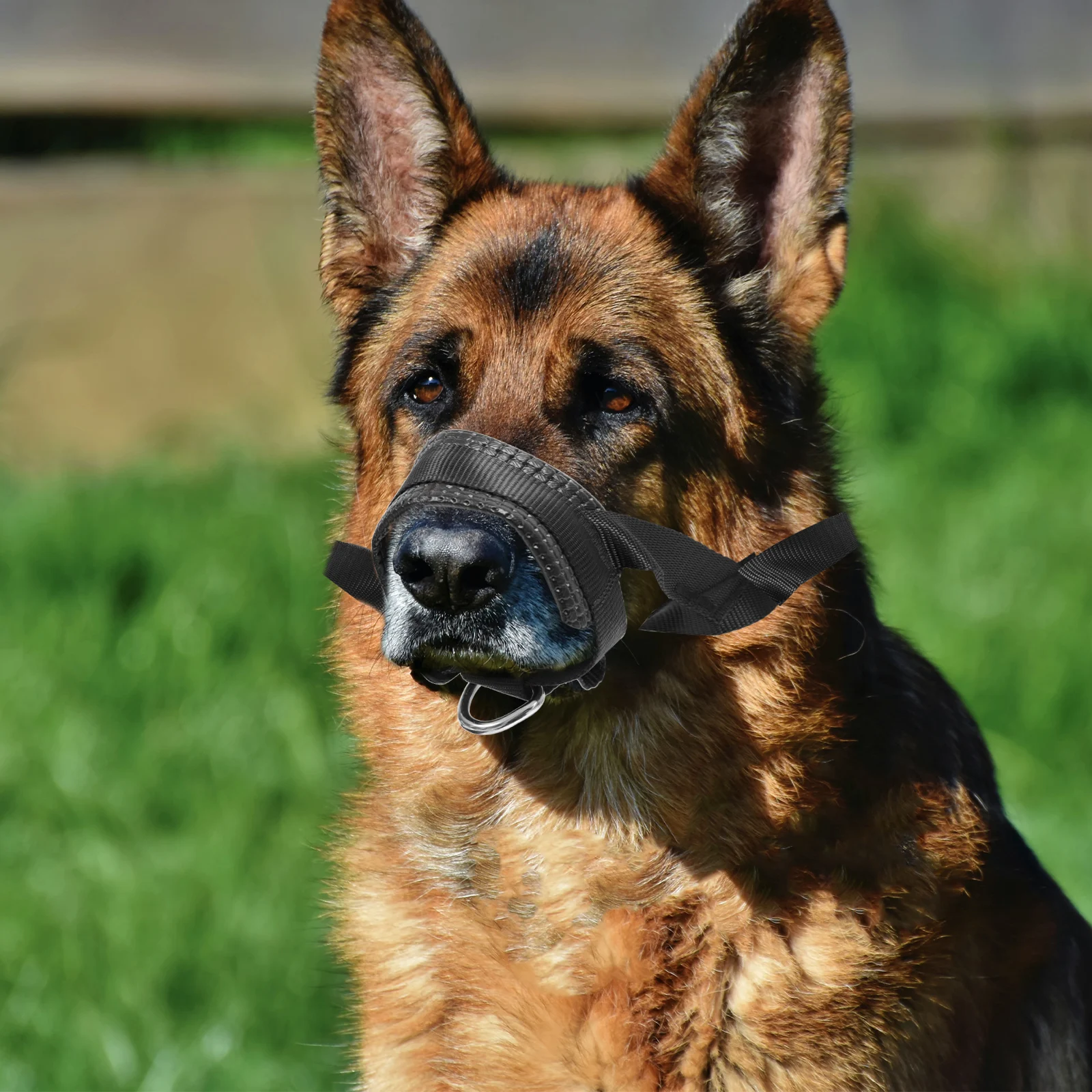 

Practical Dog Muzzle Adjustable Anti-bite Mouth Cover for Large Puppy Pet Prevent Barking Chewing Nylon Secure Strap Dog Collar