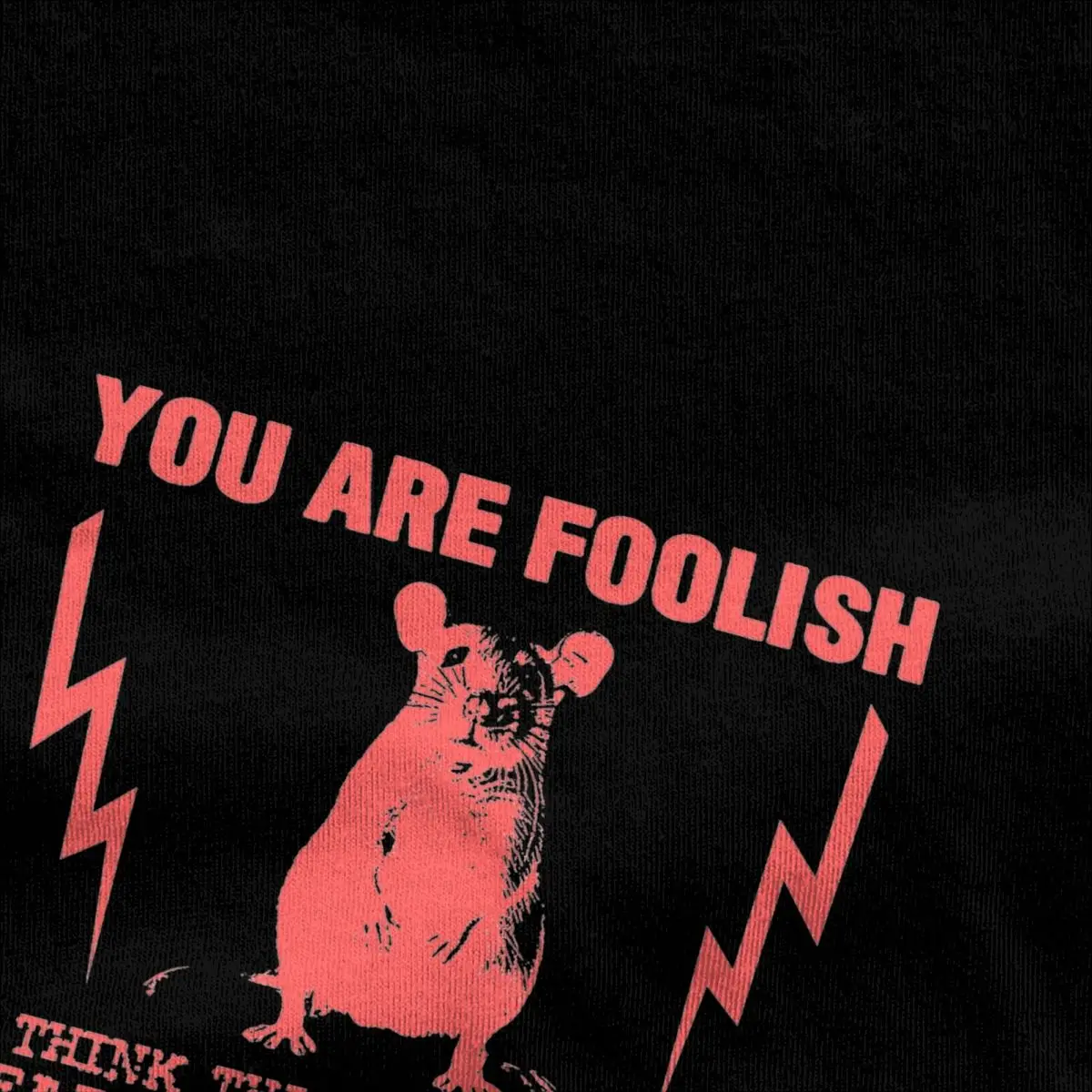 Streetwear T Shirt You Are Foolish Rat Quote Cotton T Shirts Fashion Tee Shirt Men Beach Y2K Classic Pattern Short Sleeve Tops