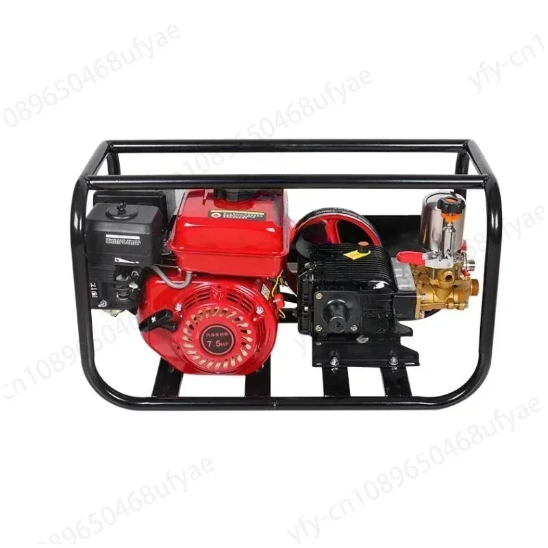 Four-stroke Gasoline High Pressure Sprayer Agricultural Orchard Sprayer Triple Cylinder Plunger Pump Sprayer