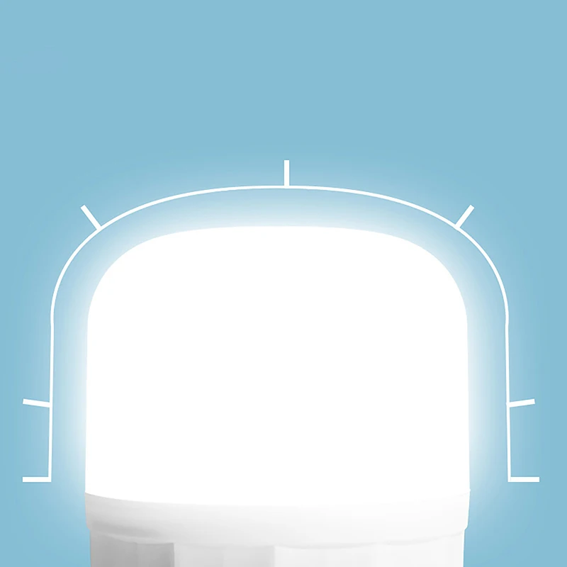 Ampoule LED pour Plafond de Maison, 220V