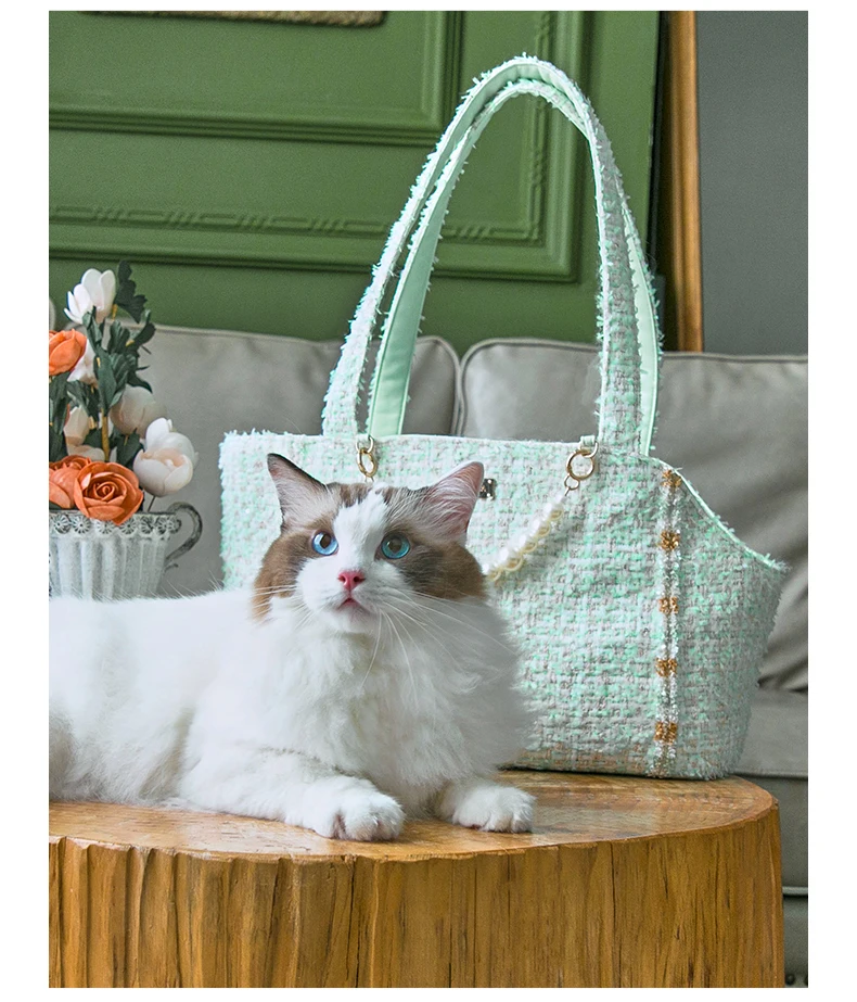 Tas Jinjing Hewan Peliharaan G - Luxury Bags Korea ulasan dan harga