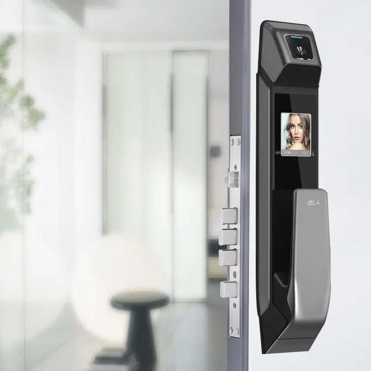 High Quality Fully Automatic Password Locks With Fingerprint Smart Face Recognition Door Lock