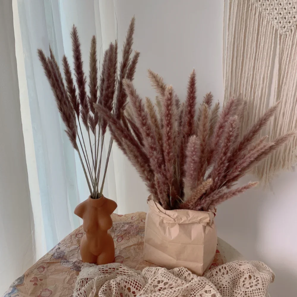 

Fluffy Pampas Grass Natural Dried Flowers Bouquet Boho Home Decor Phragmites Plant Artifical Flowers Autumn Wedding Decoration