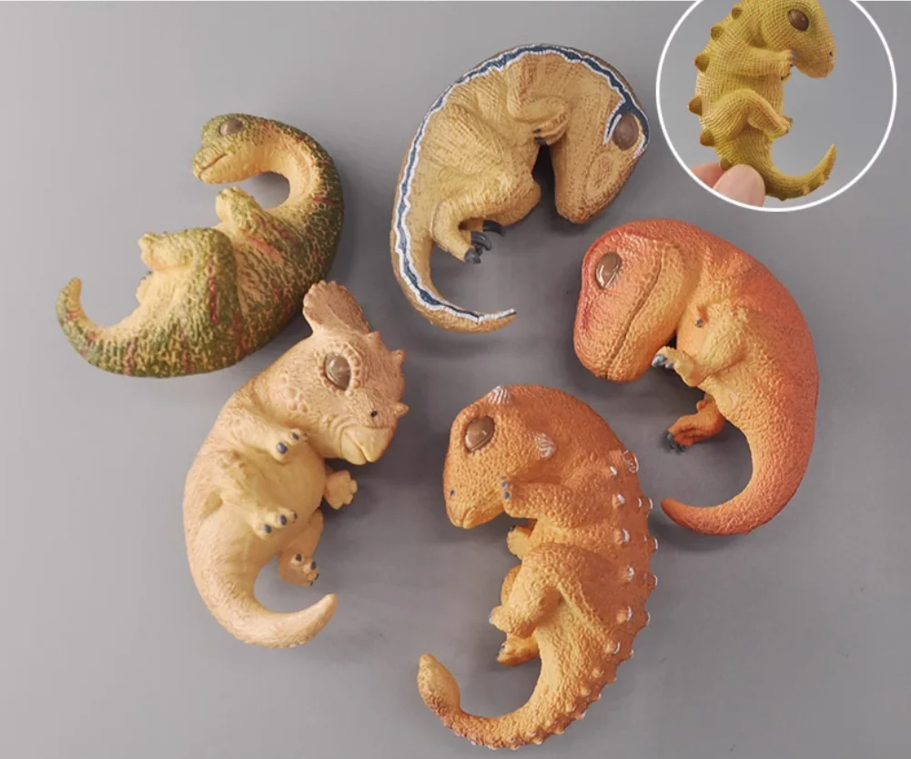 Dinosaur baby immersion model dinosaur breeding hatching simulation experimental model