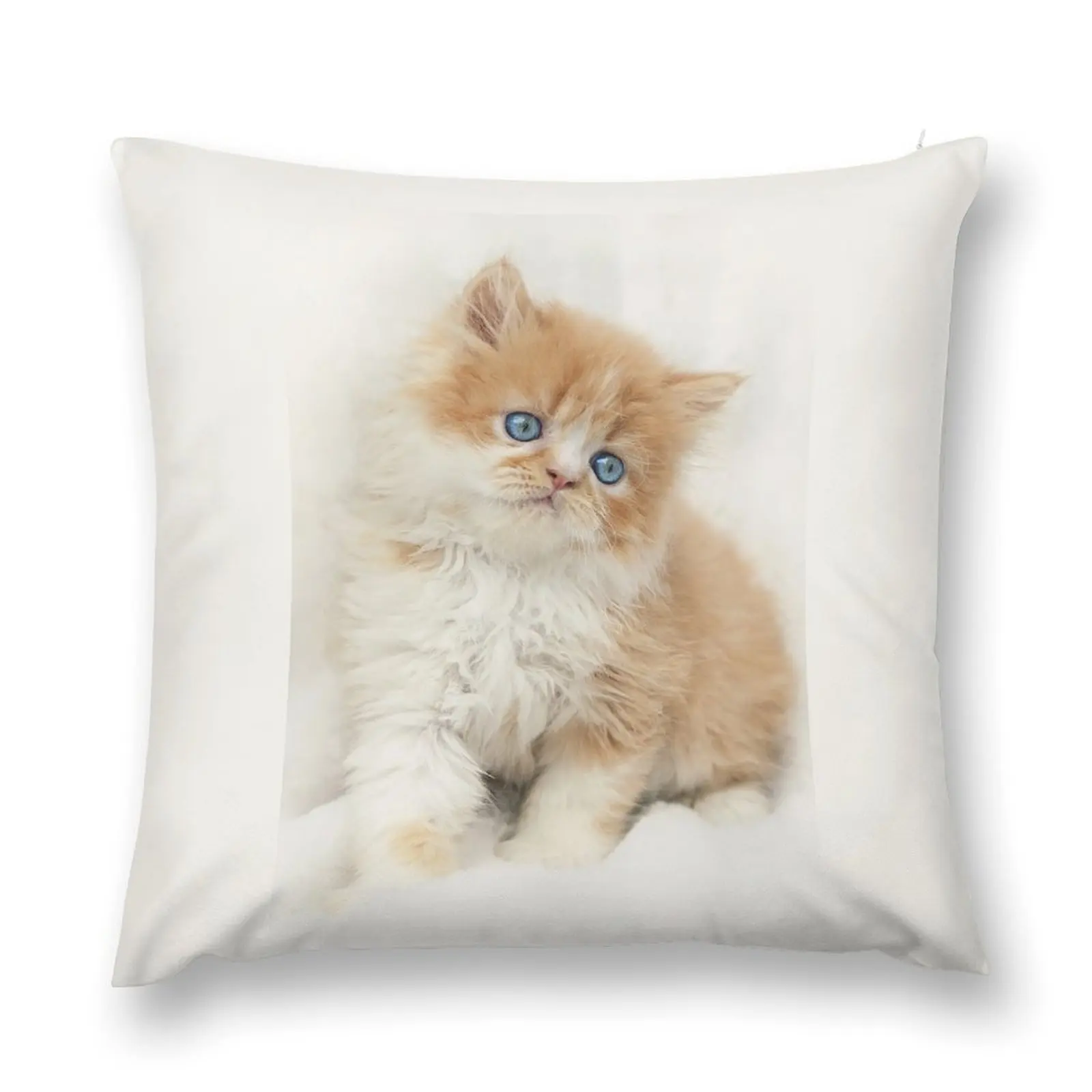 

Softness Throw Pillow Pillows Aesthetic home decor items luxury sofa pillows pillow