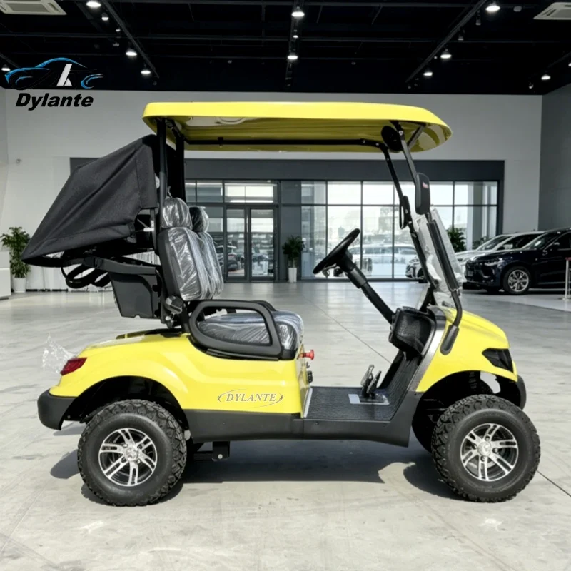 China High Quality Electric Golf Cart 72V 150Ah 5000W Low Speed ​​2 Seater Adult Sightseeing Car for Amusement Park
