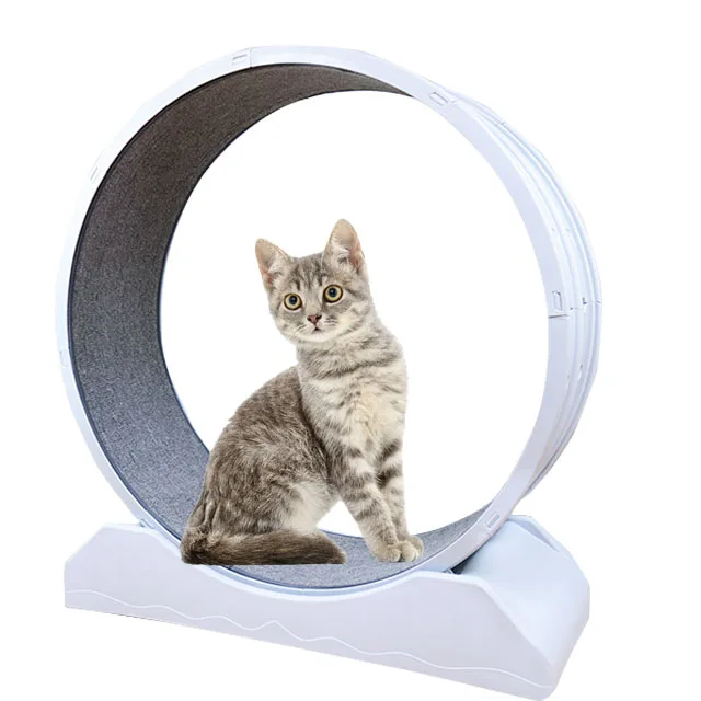 

High Quality Pet Interactive Exercise Wheel Treadmill Fun Cat Movement Toy