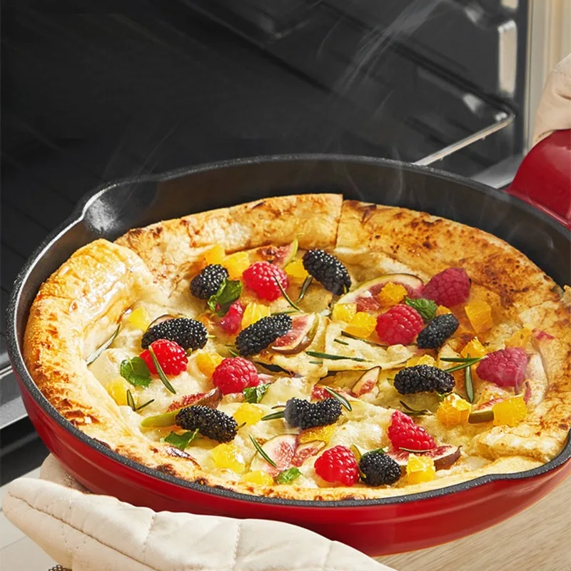 Enameled Cast Iron Skillet 25cm, No Nonstick Coating Frying Pan, Grill Pan for Egg & Steak, Induction Compatible, Home Use