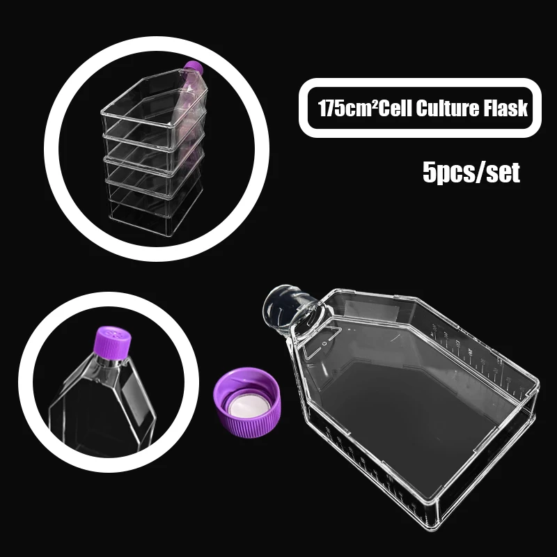 

‌ 175 см2 5 шт. крышка вентиляционного отверстия для фильтра колба для культуры тканей стерильная DNase RNase бесплатно градуированное лабораторное оборудование ‌