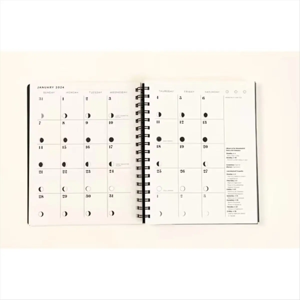 Latest ABBQ-2025 Many Moons Lunar Planner, Lunar Planner for Witches, Magical Lunar Planner, 2025 Planner Notebook with Moon