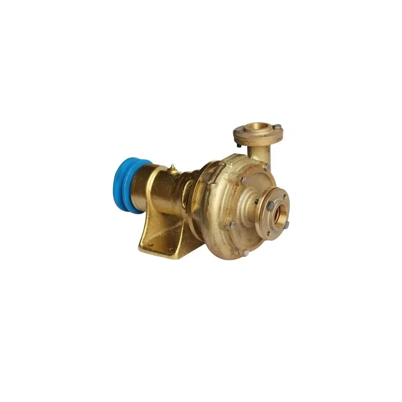 China Factory Haisheng Marine Sea Water Pump for Boat Powered by Engines Without a Motor for Marine Fishery Ship