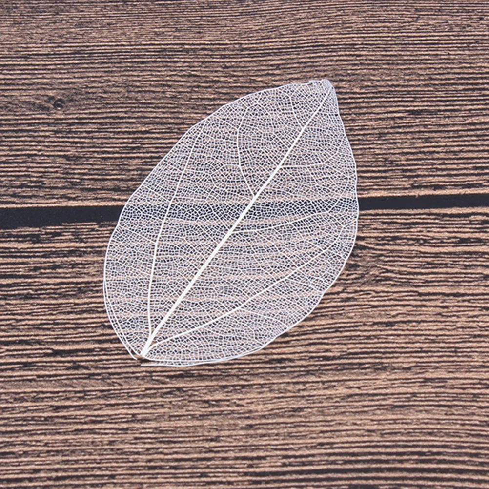 

6pcs Natural Leaf Specimen Handmade Diy Craft Materials For Bookmarks Greeting Cards Scrapbook Decoration Dried Leaves