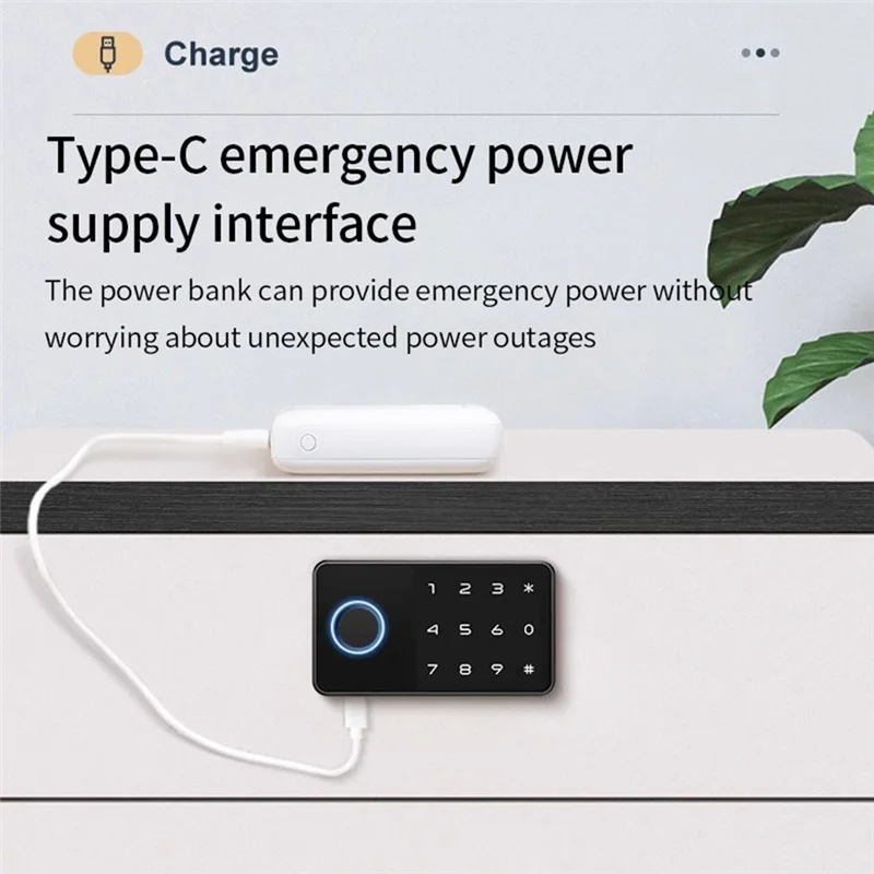 BAAR-Tuya Smart Vingerafdruk Geen Punch Cam Lock Kast Slot Deur Lade Archiefkast Post Mail Locker Kast Sloten