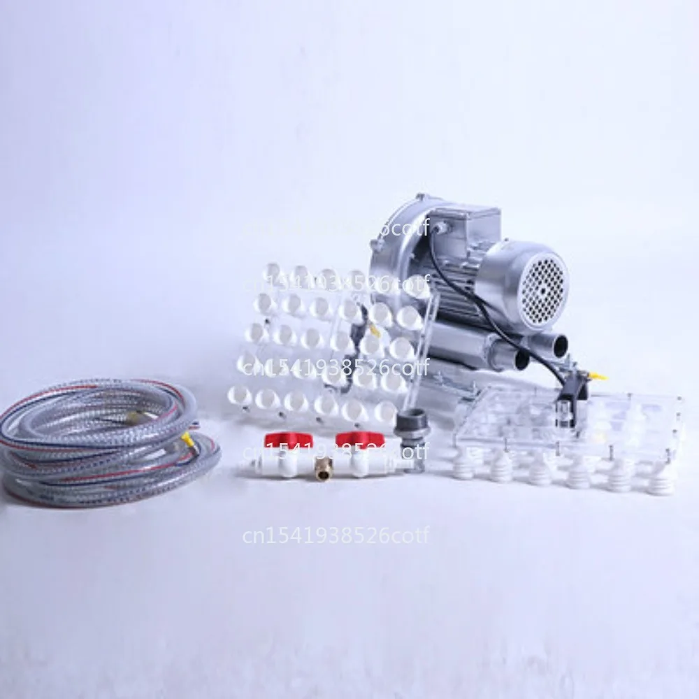 

Устройство для сбора яиц на 30 штук: ручной автоматический вакуумный аппарат для укладки, упаковки и переноски яиц