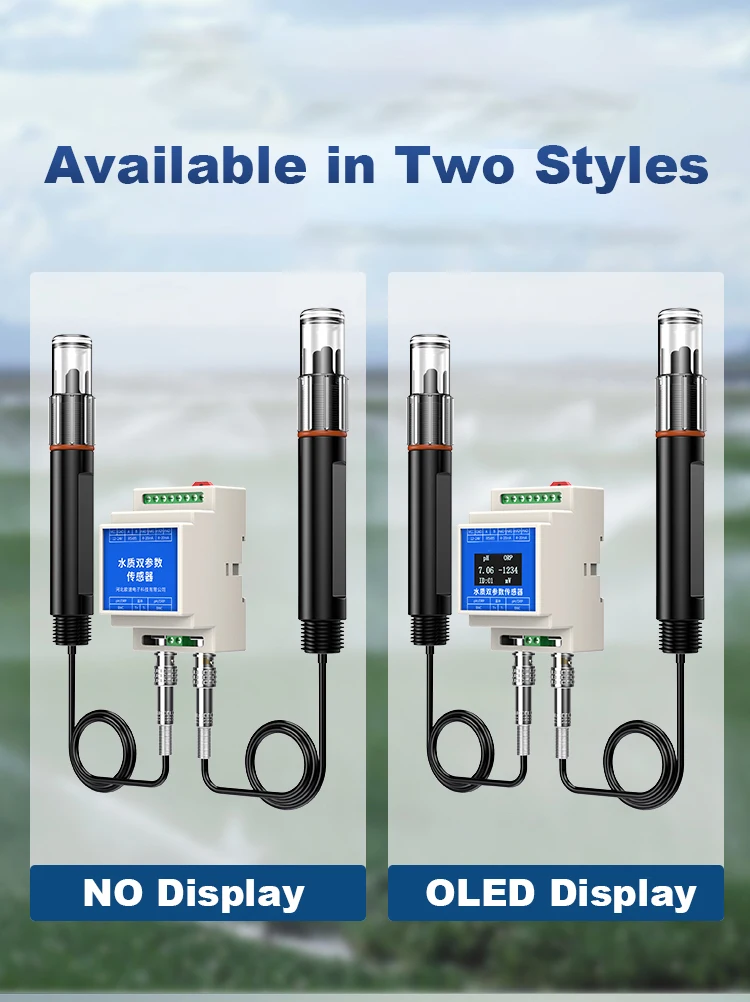 Test rapide industriel de qualité de l'eau 2 en 1, hydroponique, traitement des eaux usées, capteur PH ORP en ligne