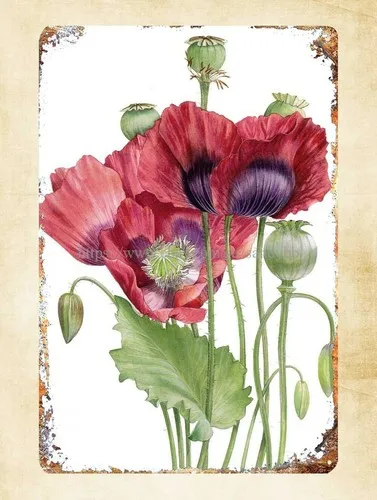 discount wall decor Red Poppy Flower papaver plant metal tin sign