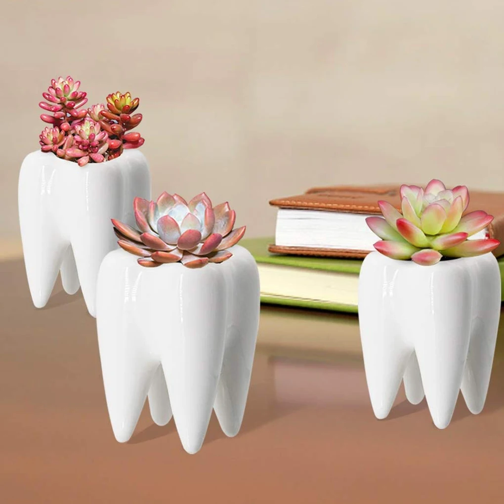 

Ceramic Plant Pot Delicate Tooth-shape Outdoor Ceramics Tabletop Adornments Flowerpot Ornament Flower Pots for Planting Decor