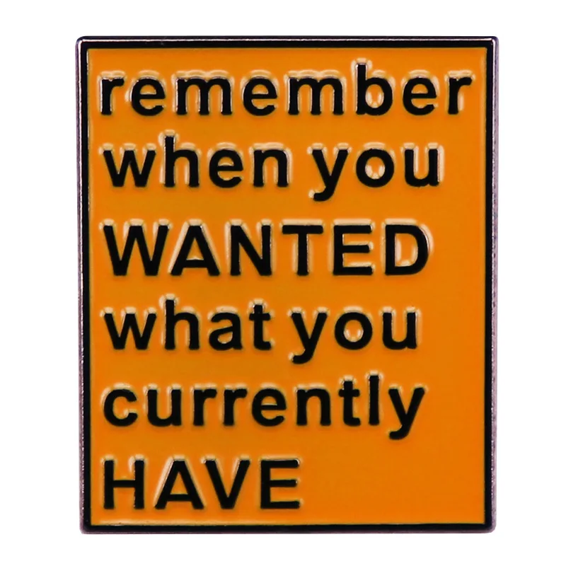 Remember When You Wanted What You Have Now? Enameled Pin Literature Badge