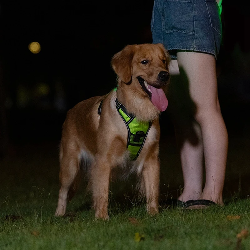 Arnês luminoso para animais de estimação Arnês luminoso para cães Cinta peitoral luminosa ajustável para animais de estimação