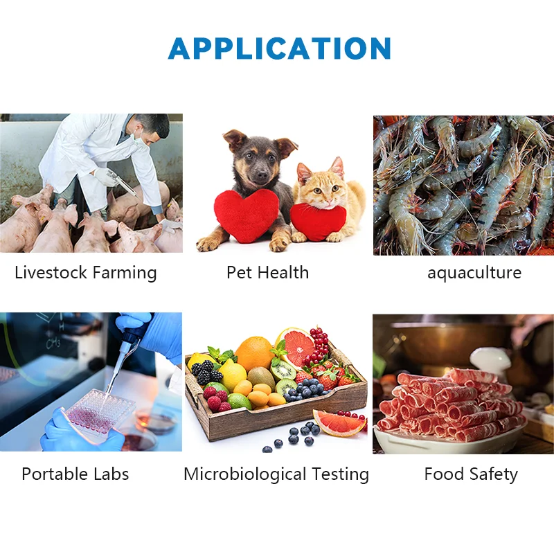 Portable On-site Nucleic Acid Rapid Real-Time PCR Testing Equipment Food Safety Analyzer POCT Diagnostic Veterinary Instrument